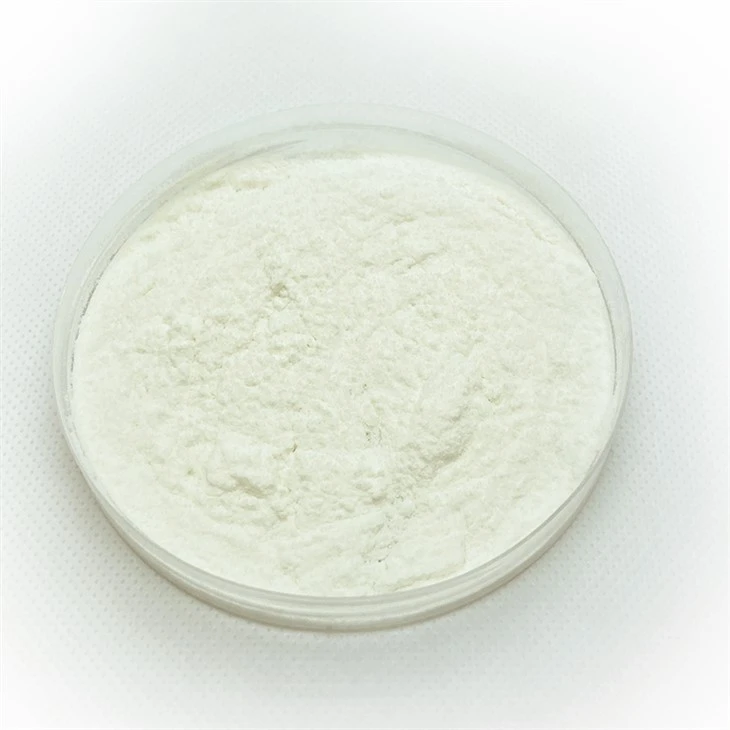 Bifidobacterium Longum