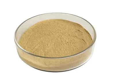 אבקת Bacillus Coagulans: מאפייני הזנים, יתרונות פונקציונליים ויתרונות המוצר